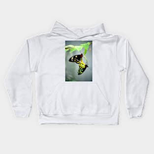 Mating Cairns Birdwings Kids Hoodie